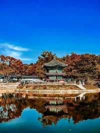 Seoul: Where Tradition and Tech Collide in Perfect Rhythm