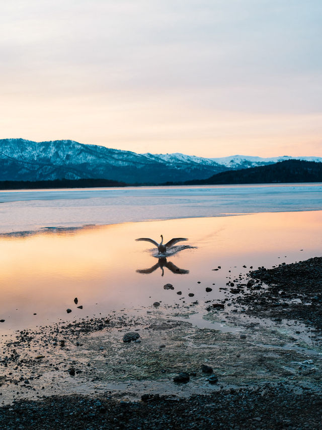 🇯🇵 Soak in the Sunset and Swan Views at Lake Kussharo, Hokkaido