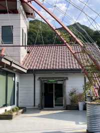 게으른 악어에서 라면 어때요?🍜