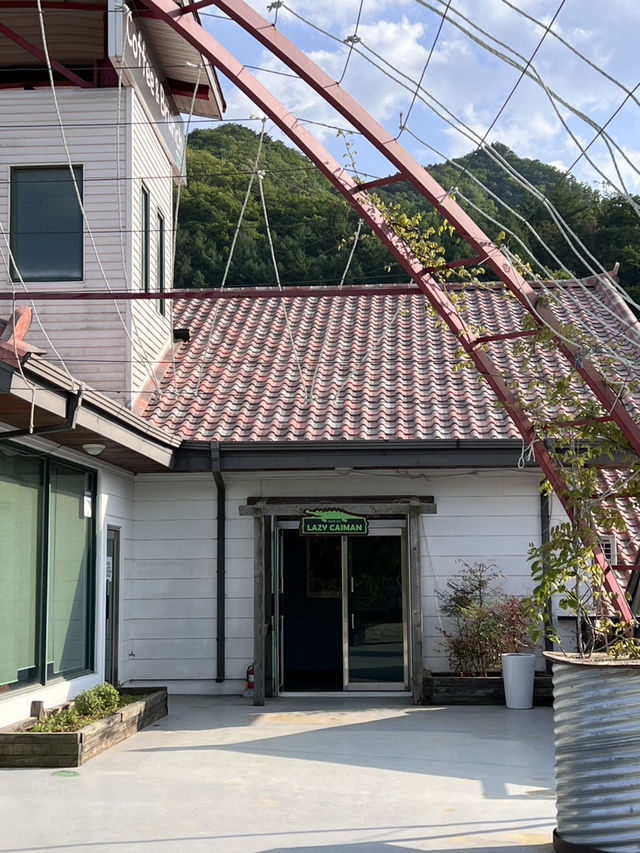 게으른 악어에서 라면 어때요?🍜