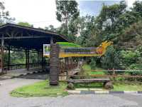 Semenggoh Wildlife Centre