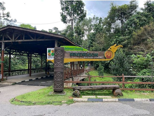 Semenggoh Wildlife Centre