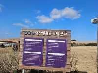 🌋 올라가는 순간 진심 감탄 나옴… 이게 진짜 제주다
