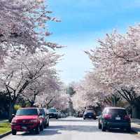 Burnaby – A Dynamic Blend of Nature and Urban Living