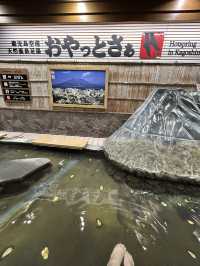 屋久島世界遺産トレッキング