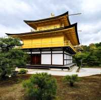 Gleaming Beauty: Experiencing Kinkaku-ji’s Golden Charm