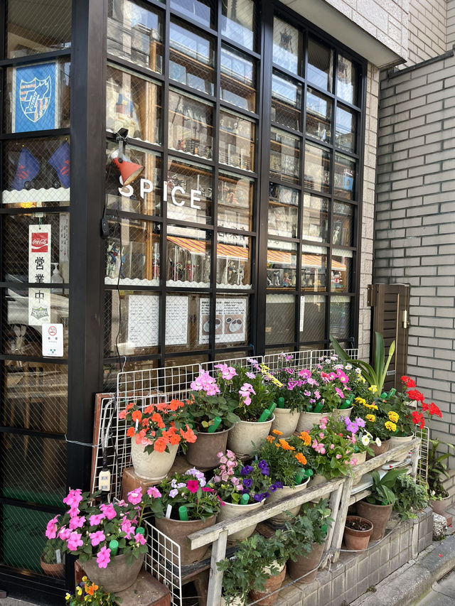 하타가야 주변 산책🌿