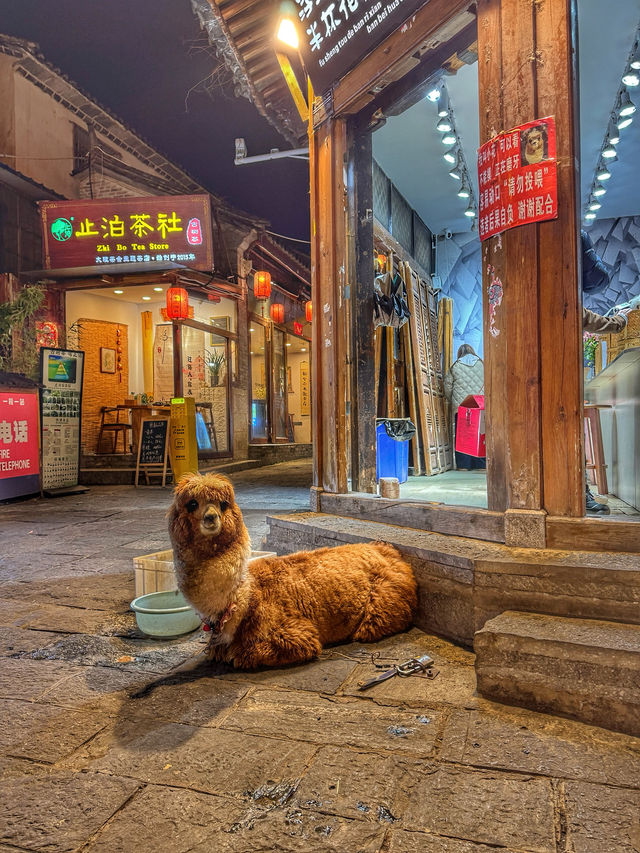 Timeless Charm Behind the Ancient Walls: A Stroll Through Dali Old Town