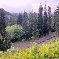  “Weekend Escape to Taman Saujana Hijau: A Lush Green Retreat in Putrajaya”