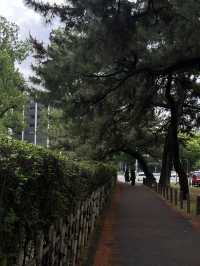 Nagoya Castle Park✨✨