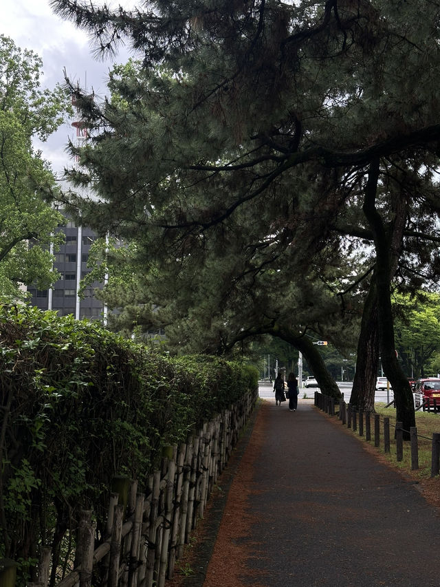 Nagoya Castle Park✨✨