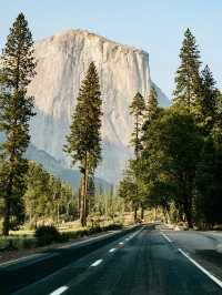 Nature Escape at Tenaya Lodge