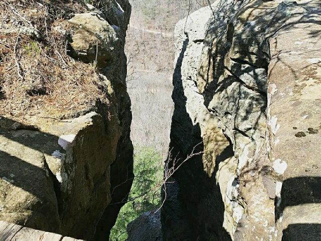 Kentucky’s Wild Wonderland: Red River Gorge Trails