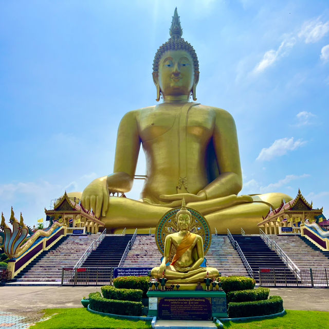 วัดม่วง