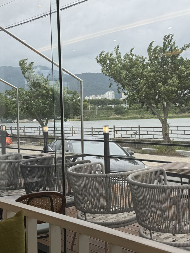 김해와 부산의 경계선 대저생태공원과 화명대교를 바라보는 공간🌳🏞️