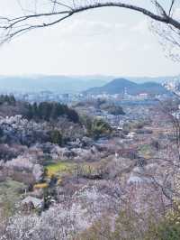 東京巴士遊東北：福島也有桃源鄉 