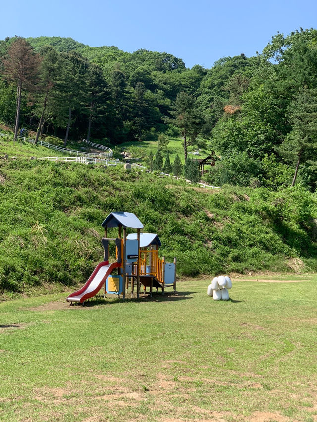 🎠 한국 속 작은 스위스를 찾는다면 여기
