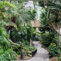 Seoul Forest Park: A Green Escape in the City