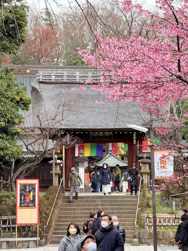 【東京/調布】プチトリップにおすすめ‼︎深大寺