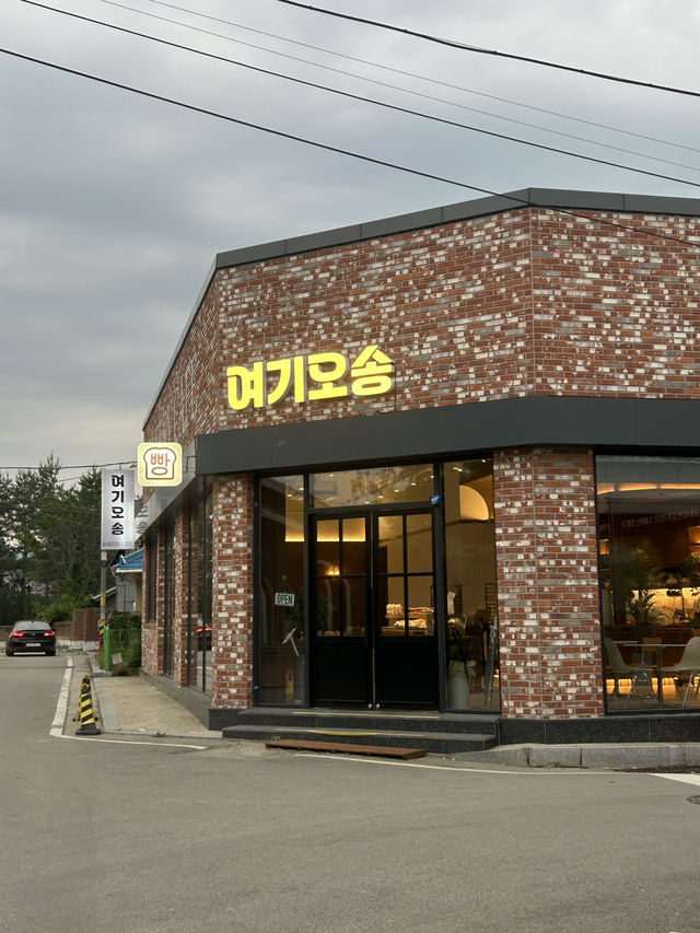 🚊 기차 여행의 설렘🤍 빵맛집 여기오송 