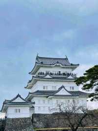 Odawara Castle – A Samurai Stronghold with Scenic Views
