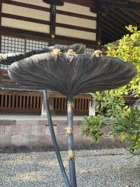 【石川県・金沢市】珍しいステンドグラスがある神社⛩️