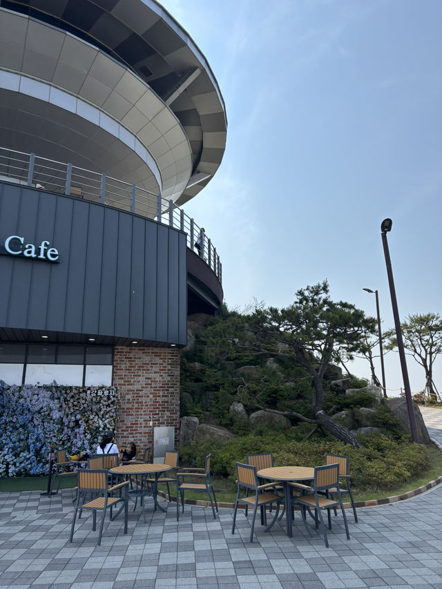 확트인 바다가 보이는 강화도 루지 여행🥰