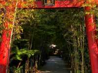 Kinomiya Shrine – A Sacred Escape in Atami
