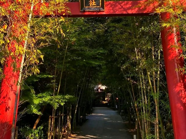 Kinomiya Shrine – A Sacred Escape in Atami