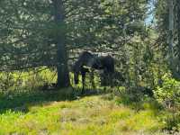 Grand Teton National Park – Wild Beauty in Wyoming