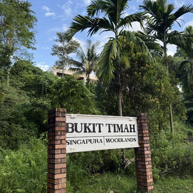 🚶‍♂️🚴‍♀️ Rail Corridor — A Super Friendly Weekend Hiking & Cycling Route!