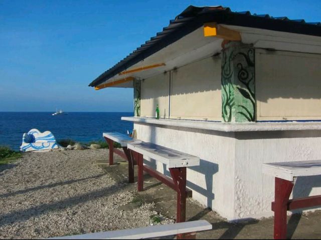 🏝️蘭嶼