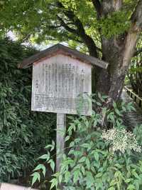 🍃 静けさに包まれた美の小径  京都・鷹峯「光悦寺」