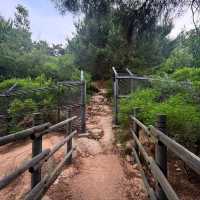 Bukhansan National Park