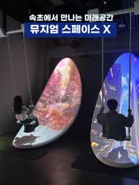 속초에서 만나는 미래공간👽 뮤지엄 X