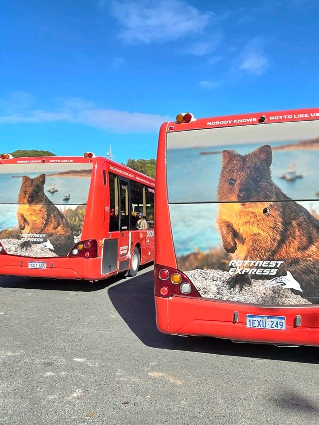 Rottnest Island - Perth Australia