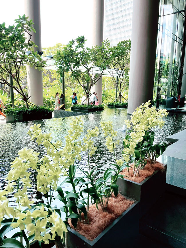 Where to Stay in Singapore: Discover the Oasis of Parkroyal Collection Pickering