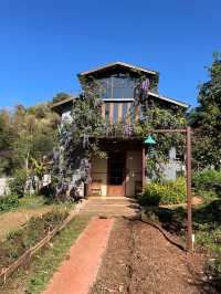 Mori Natural Farm