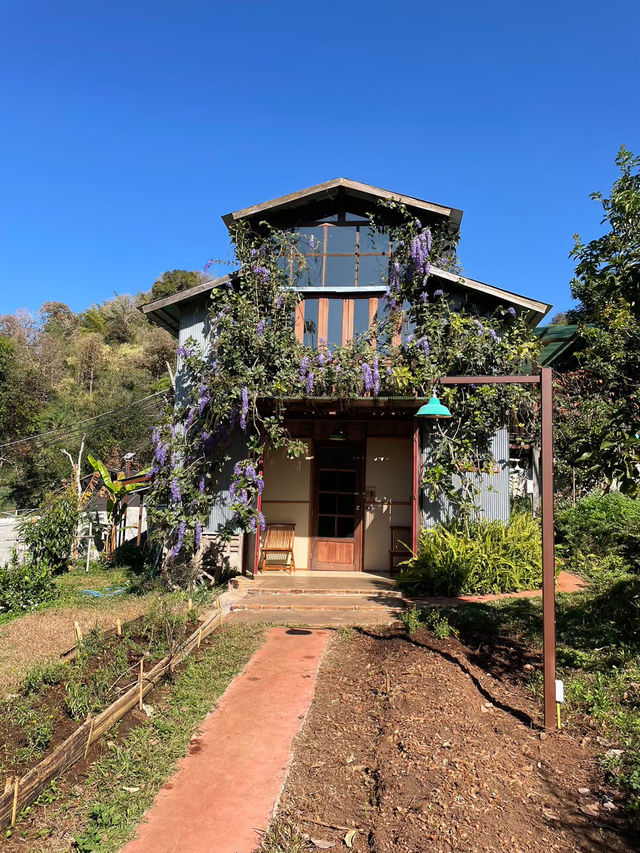 Mori Natural Farm