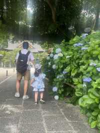 愛知]まるで京都のような竹林と紫陽花のコラボレーション🩵✨