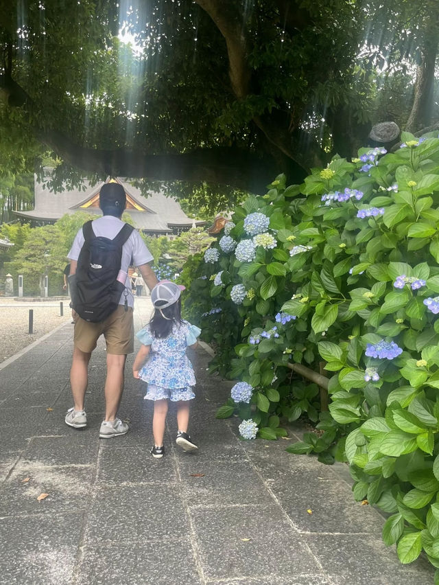 愛知]まるで京都のような竹林と紫陽花のコラボレーション🩵✨