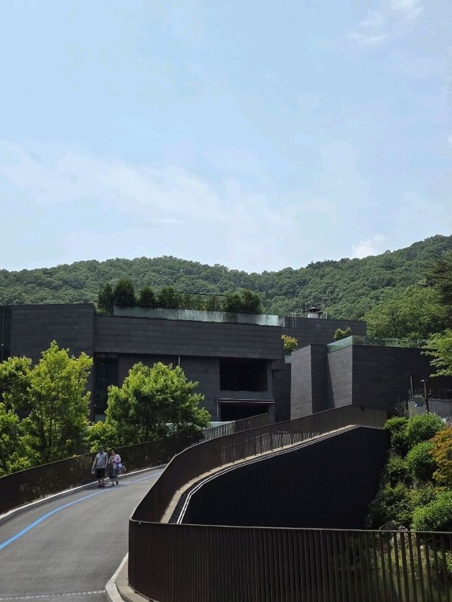 완벽한 휴식, 해브나인 힐링스파🌲💦