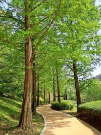 Yongso Well-being Park