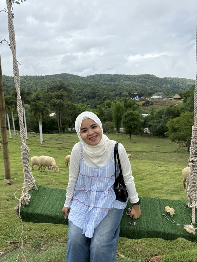 ฟาร์มแกะอัลปาก้า ม่อนแจ่ม 🐑