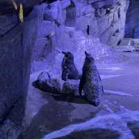 Aquarium Phuket 