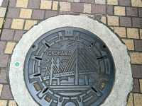 Self drive to experience Edo period traditions and sights to modern city