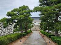 富山城跡公園，城市中的綠意時光