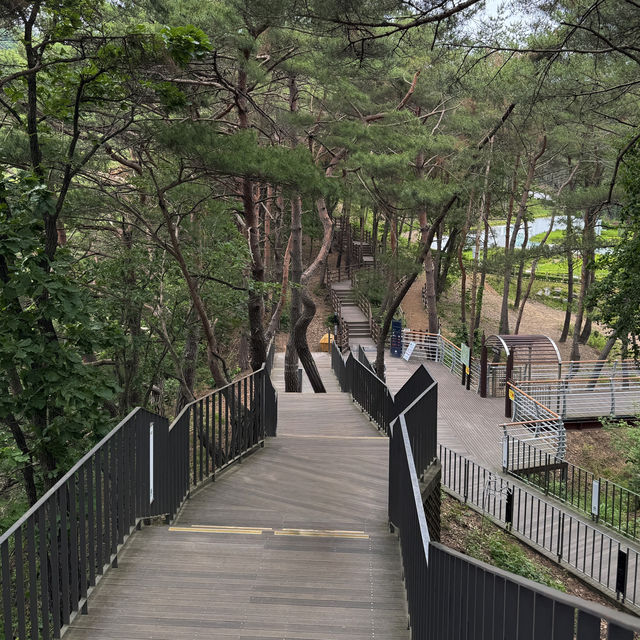 원주 필수 여행코스 소금산 그랜드밸리