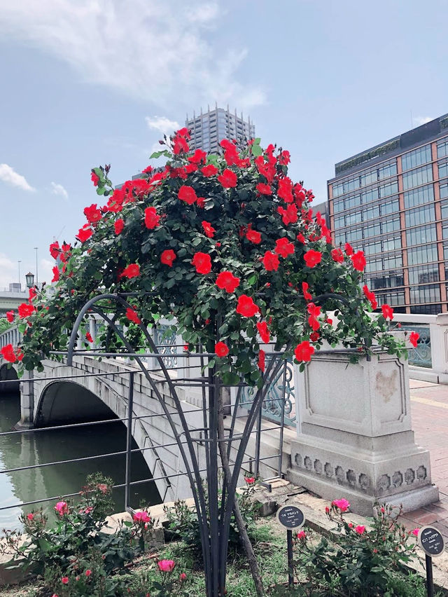 The Nakanoshima Rose Garden
