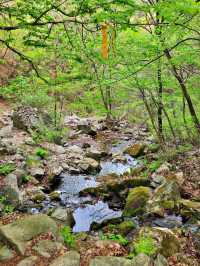 A Hidden Gem in Hongcheon